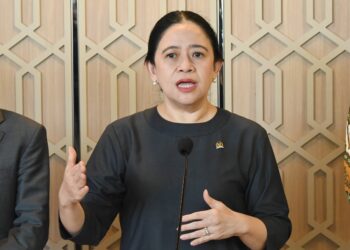 Ketua DPR RI Dr. (H.C) Puan Maharani.(Foto: dpr.go.id)