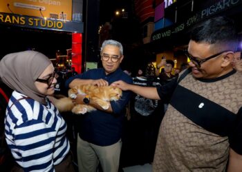 Shibuya Catwalk International Cat Show.(Foto: Humas Pemkot Bandung)
