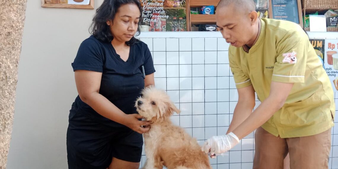Vaksinasi anjing.(Foto: Humas Pemkot Bandung)