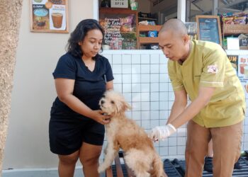Vaksinasi anjing.(Foto: Humas Pemkot Bandung)