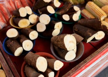 Ubi jalar atau singkong.(Image:pexels)