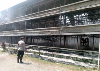 Lokasi peternakan ayam di wilayah Kecamatan Ciseeng, Kabupaten Bogor, yang diamuk 'Si Jago Merah'.(Foto:Istimewa).