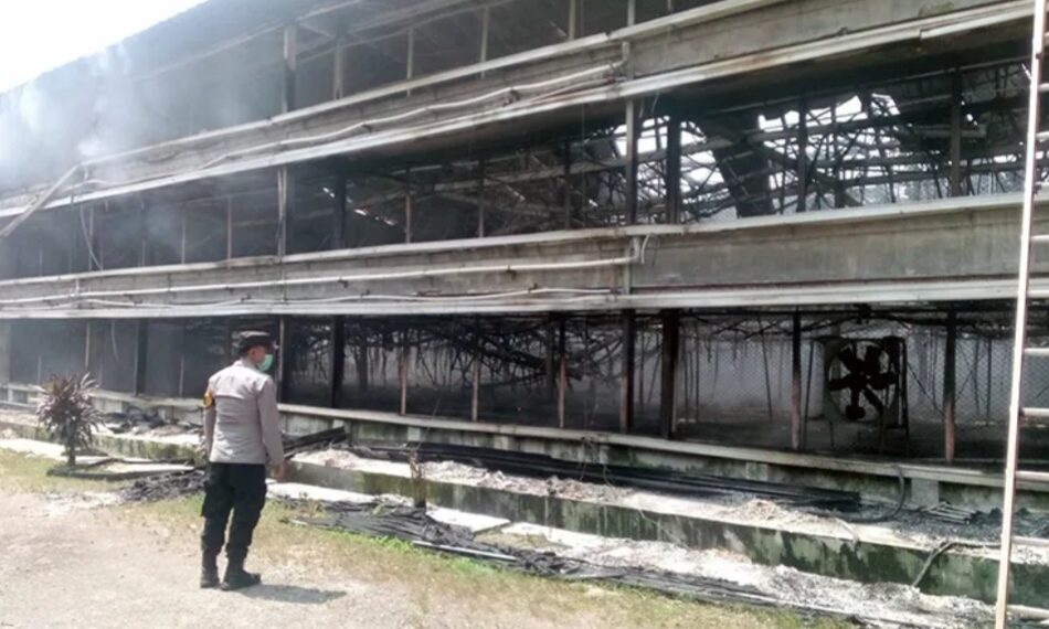 Lokasi peternakan ayam di wilayah Kecamatan Ciseeng, Kabupaten Bogor, yang diamuk 'Si Jago Merah'.(Foto:Istimewa).