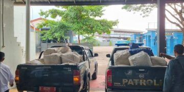 Barang bukti sisik trenggiling selundupan.(Foto: Humas Kemenhut)