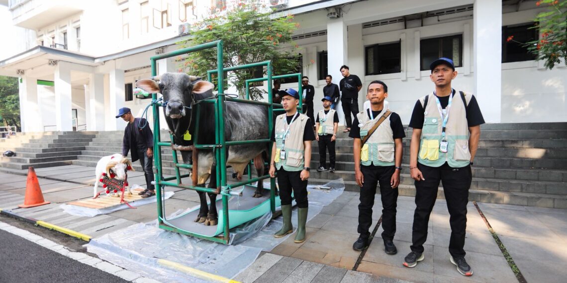 Hewan kurban.(Foto: Humas Pemkot Bandung)