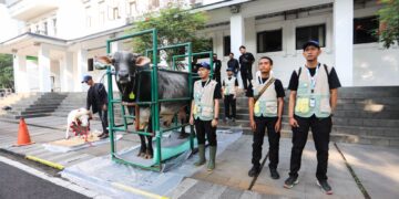 Hewan kurban.(Foto: Humas Pemkot Bandung)