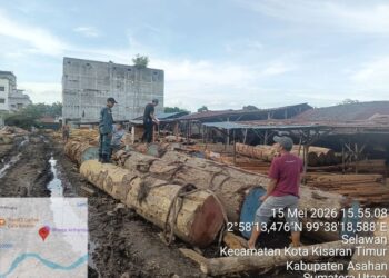 Ribuan batang kayu meranti dan rimba disita Kementerian Kehutanan (Kemenhut) melalui Tim Operasi Gabungan.(Foto: Dok. Kemenhut)