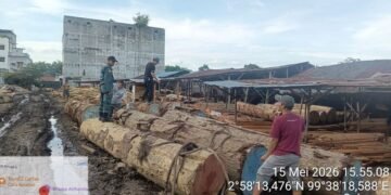 Ribuan batang kayu meranti dan rimba disita Kementerian Kehutanan (Kemenhut) melalui Tim Operasi Gabungan.(Foto: Dok. Kemenhut)