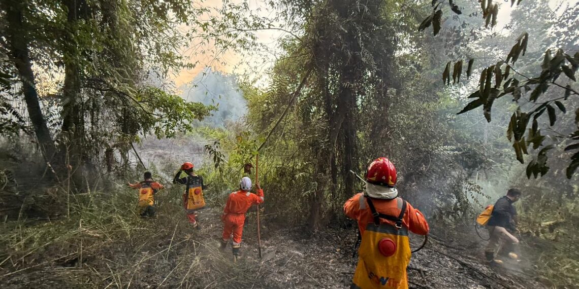 BPBD Kabupaten Nunukan bersama Masyarakat Peduli Api (MPA) berusaha memadamkan kejadian bencana karhutla yang membakar 2 hektare lahan di Kecamatan Nunukan Selatan, Kabupaten Nunukan, Provinsi Kalimantan Utara, pada Minggu (10/5). (BPBD Kabupaten Nunukan)