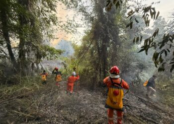 BPBD Kabupaten Nunukan bersama Masyarakat Peduli Api (MPA) berusaha memadamkan kejadian bencana karhutla yang membakar 2 hektare lahan di Kecamatan Nunukan Selatan, Kabupaten Nunukan, Provinsi Kalimantan Utara, pada Minggu (10/5). (BPBD Kabupaten Nunukan)