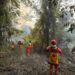 BPBD Kabupaten Nunukan bersama Masyarakat Peduli Api (MPA) berusaha memadamkan kejadian bencana karhutla yang membakar 2 hektare lahan di Kecamatan Nunukan Selatan, Kabupaten Nunukan, Provinsi Kalimantan Utara, pada Minggu (10/5). (BPBD Kabupaten Nunukan)