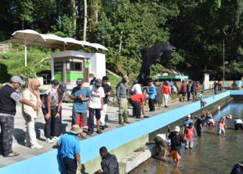 Aksi bersih-bersih kolam ikan dewa di Kuningan>(Foto: Humas Pemkab Kuningan)