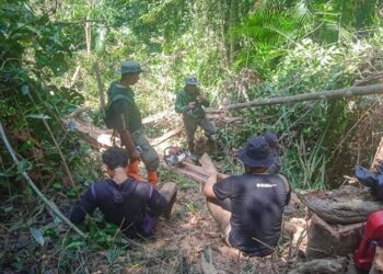 Pengamanan pembalakan liar di Kolaka Sulawesi Tenggara.(Foto: Humas Kemenhut)