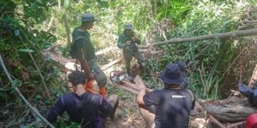 Pengamanan pembalakan liar di Kolaka Sulawesi Tenggara.(Foto: Humas Kemenhut)