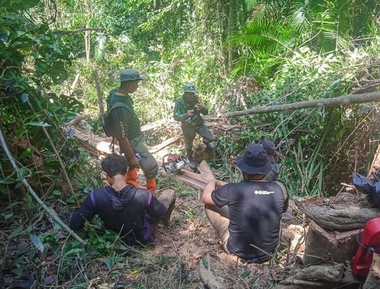 Pengamanan pembalakan liar di Kolaka Sulawesi Tenggara.(Foto: Humas Kemenhut)
