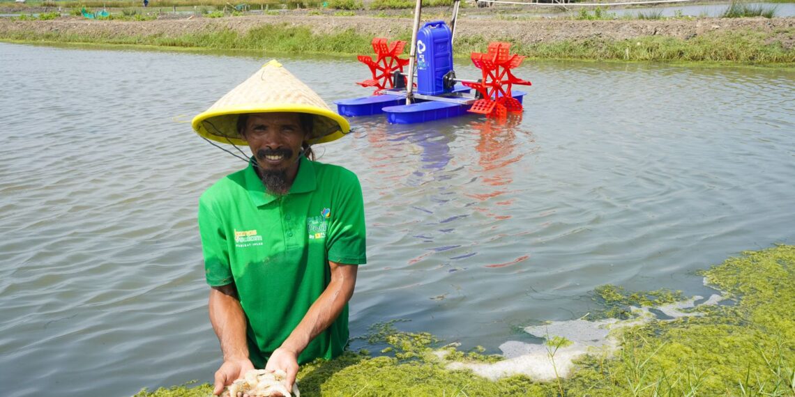 Petani atau penambak udang.(Foto: Istimewa)