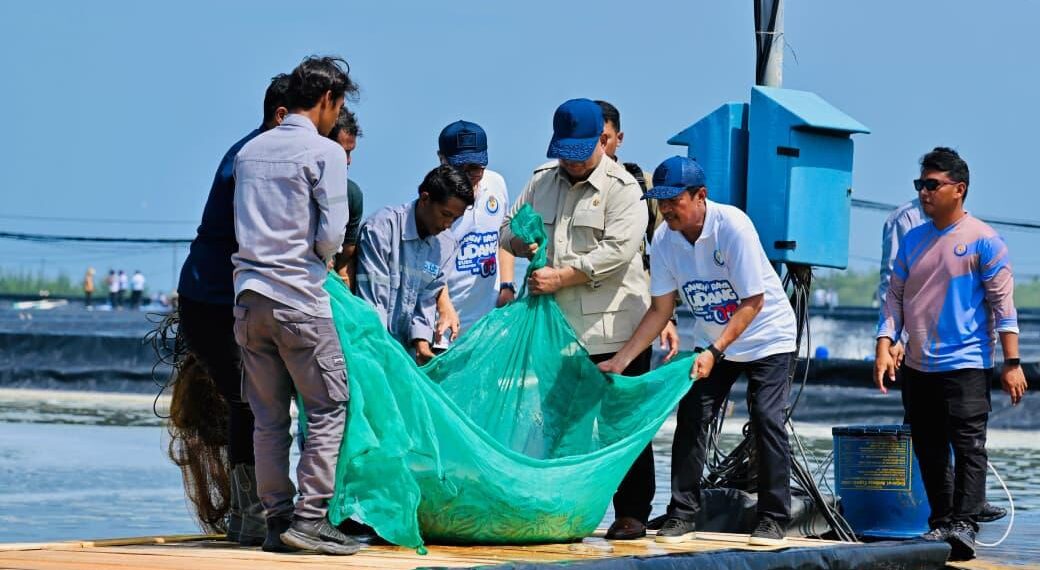 Presiden Prabowo Subianto melaksanakan panen raya udang dan meninjau kegiatan sortir hasil panen di lokasi tambak Budi Daya Udang Berbasis Kawasan (BUBK) Kebumen, Jawa Tengah, pada Sabtu (23/05/2026).(Foto: Setneg)