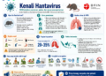 Hantavirus