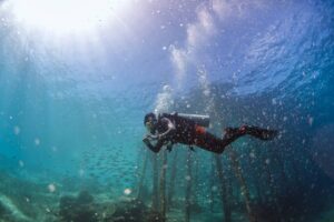 Wisata selam Raja Ampat.(Foto: Humas Kemenpar)