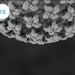 Ilustrasi virus hantavirus atau virus hanta.(Image: Kemkes)