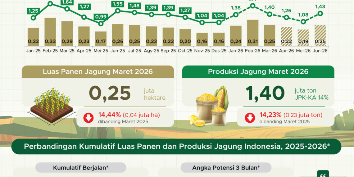Produksi jagung Maret 2026