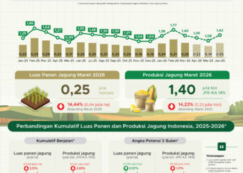 Produksi jagung Maret 2026