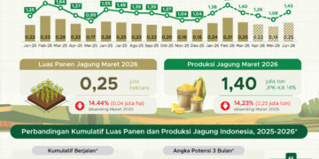 Produksi jagung Maret 2026
