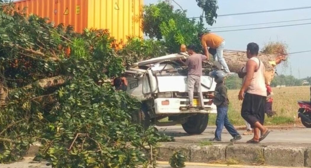 Proses evakuasi korban di dalam truk kontainer yang tertimpa pohon di Jalan Lingkar Tanjungpura, Kabupaten Karawang.(Foto:Istimewa).