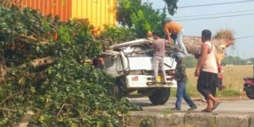 Proses evakuasi korban di dalam truk kontainer yang tertimpa pohon di Jalan Lingkar Tanjungpura, Kabupaten Karawang.(Foto:Istimewa).
