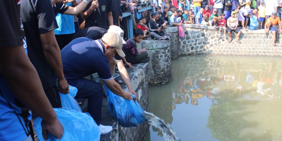 Bupati Kuningan Dian Rachmat Yanuar menabur ikan ke sungai untuk diburu warga.(Foto: Humas Pemkab Kuningan)