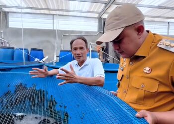 Bupati Bogor Rudy Susmanto melakukan kunjungan ke Yamagen Koi Farm di Ciseeng, Kabupaten Bogor, Senin (15/6/2026).(Foto: Humas Pemkab Bogor)