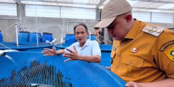 Bupati Bogor Rudy Susmanto melakukan kunjungan ke Yamagen Koi Farm di Ciseeng, Kabupaten Bogor, Senin (15/6/2026).(Foto: Humas Pemkab Bogor)