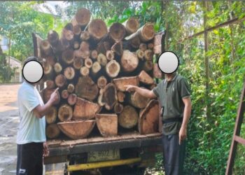 Pembalakan liar atau illegal logging diduga melibatkan dua warga di Lampung.(Foto: Humas Kemenhut)