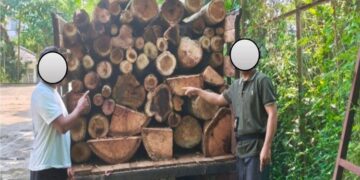 Pembalakan liar atau illegal logging diduga melibatkan dua warga di Lampung.(Foto: Humas Kemenhut)