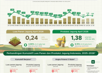 Luas panen dan produksi jagung April 2026.(Image: BPS)