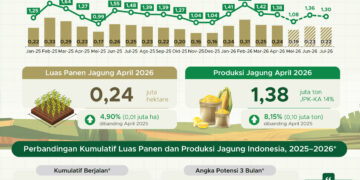 Luas panen dan produksi jagung April 2026.(Image: BPS)