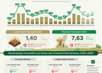 Luas panen dan produksi padi April 2026.(Image: BPS)