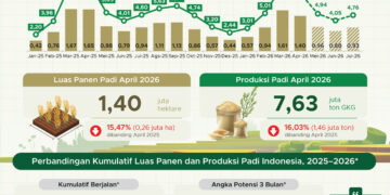 Luas panen dan produksi padi April 2026.(Image: BPS)