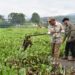 Bupati Kuningan Dr. H. Dian Rachmat Yanuar, M.Si memimpin langsung apel gerakan membersihkan Waduk Darma dari eceng gondok.(Foto: Humas Pemkab Kuningan)