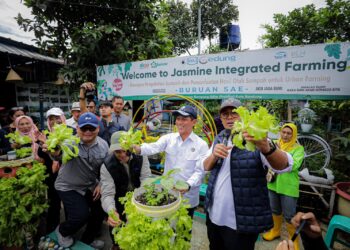 Buruan SAE Kota Bandung. Pertanian, Organik