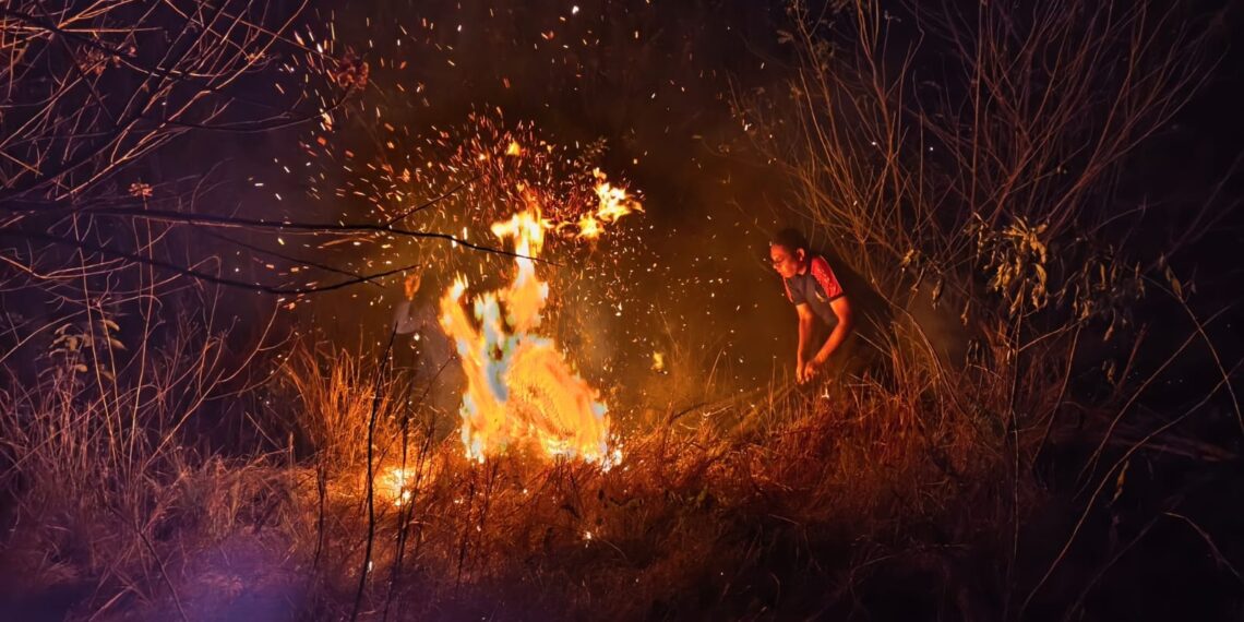 KEJADIAN BENCANA: Upaya pemadaman titik api kebakaran hutan dan lahan yang terjadi di Kabupaten Manggarai Barat, Nusa Tenggara Timur pada Kamis (16/7). (FOTO: BPBD Kabupaten Manggarai Barat)