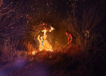 KEJADIAN BENCANA: Upaya pemadaman titik api kebakaran hutan dan lahan yang terjadi di Kabupaten Manggarai Barat, Nusa Tenggara Timur pada Kamis (16/7). (FOTO: BPBD Kabupaten Manggarai Barat)