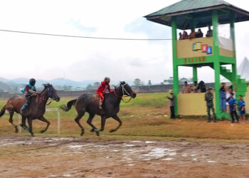 Kejuaraan Pacu Kuda Piala Bupati Sumba Barat 2026 yang diikuti seluruh kuda dan joki terbaik di NTT telah tuntas digelar pada 18 Juli 2026.(Foto: Humas KONI Pusat)