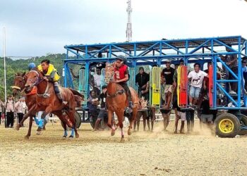 Lapangan Omba Calo, Kecamatan Loura, Kabupaten Sumba Barat Daya pada 16 Juli 2026 berpeluang jadi venue Pekan Olahraga Nasional (PON) XXII/2028 NTT-NTB.(Foto: KONI Pusat)