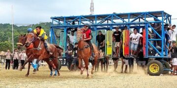 Lapangan Omba Calo, Kecamatan Loura, Kabupaten Sumba Barat Daya pada 16 Juli 2026 berpeluang jadi venue Pekan Olahraga Nasional (PON) XXII/2028 NTT-NTB.(Foto: KONI Pusat)