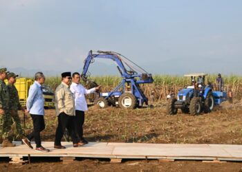 Presiden Prabowo pimpin panen raya serentak yang digelar di Kabupaten Malang, Provinsi Jawa Timur, Jumat (17/07/2026). Pemerintah kini mengarahkan fokus pada percepatan swasembada energi, pembangunan ketahanan air, serta penertiban berbagai aktivitas ilegal yang merugikan negara, mulai dari penyelundupan hingga praktik pertambangan, perkebunan, perikanan, dan perdagangan ilegal.(Foto: Setneg)