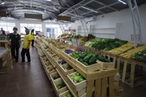 rumah sayur, super market, pasar, sayur, pertanian, pangan