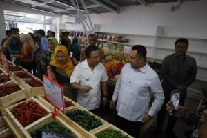 Rumah Sayur Kuningan.(Foto: Humas Pemkab Kuningan)
