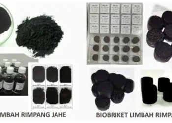 Limbah jahe jadi sumber energi alternatif.(Image: Humas BRIN)