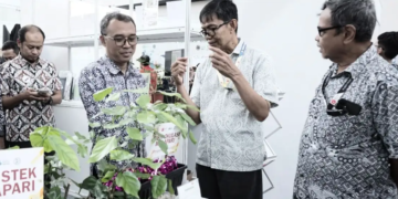 Tanaman Malapari (Pongamia pinnata) dinilai memiliki prospek besar sebagai bahan baku biodiesel. Potensi tersebut diperkenalkan dalam Capacity Building dan Expo Organisasi Riset Hayati dan Lingkungan (ORHL) BRIN 2026 yang berlangsung pada 8-9/7 di Gedung Utama Indonesia Convention Center (ICC), Kawasan Sains dan Teknologi Soekarno, Cibinong, Kabupaten Bogor. (Foto: Humas BRIN)